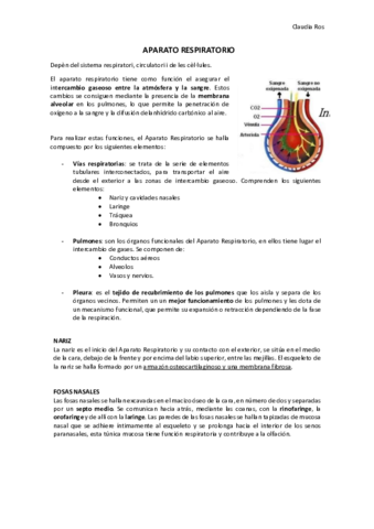 Sistema-Respiratori.pdf