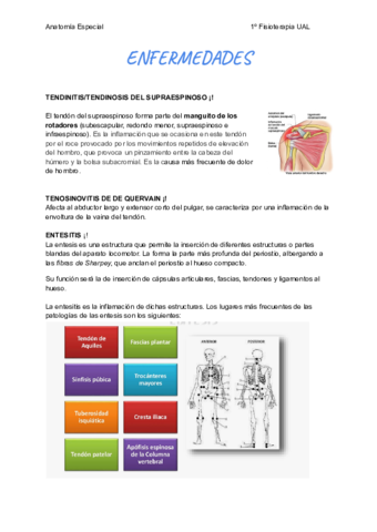 Patologías Anatomía Especial.pdf