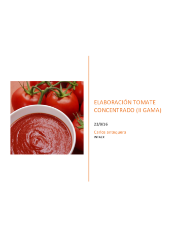 Tomate-concentrado.pdf