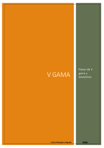 Productos-de-V-gama.pdf