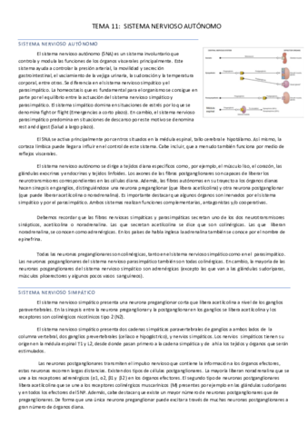 TEMA-11.pdf