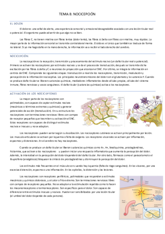 TEMA-8.pdf