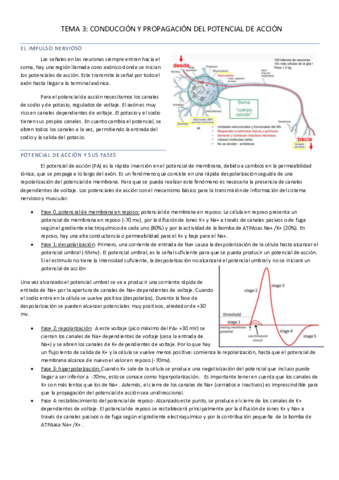 TEMA-3.pdf