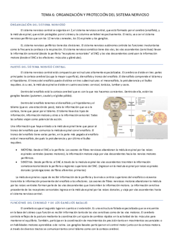 TEMA-6.pdf