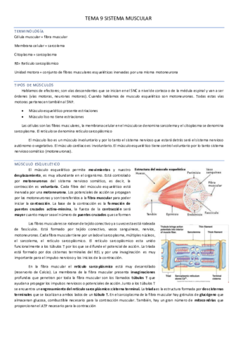 TEMA-9.pdf