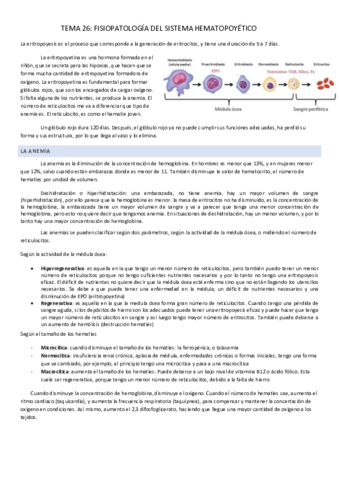 TEMA-26.pdf