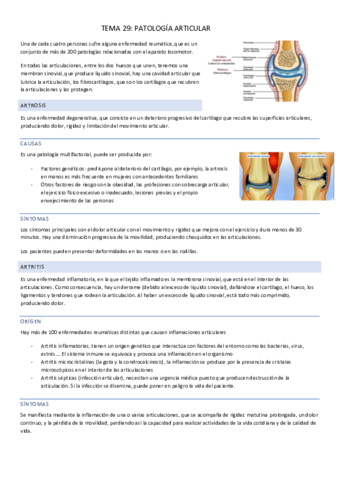 TEMA-29.pdf