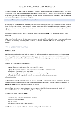 TEMA-28.pdf