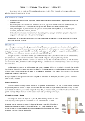 TEMA-22.pdf