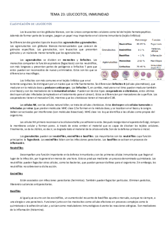TEMA-23.pdf