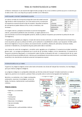 TEMA-30.pdf