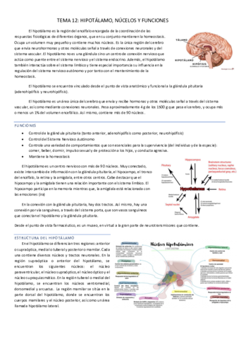 TEMA-12.pdf