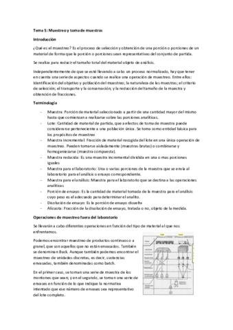 Tema-5-Analitica.pdf