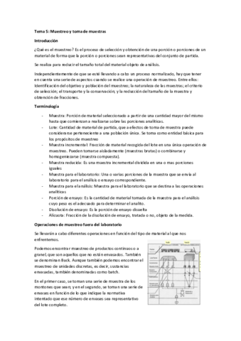 Tema-5-Analitica.pdf