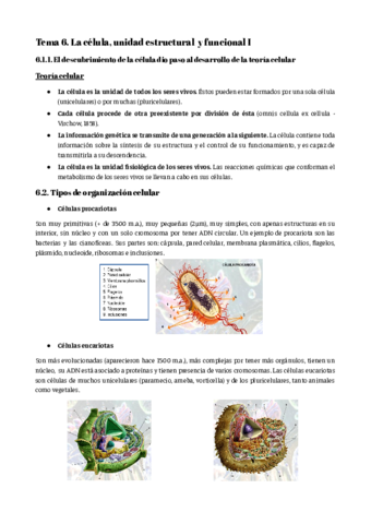 Bloque-II.pdf