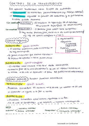 Tema-3-Genetica-completo.pdf