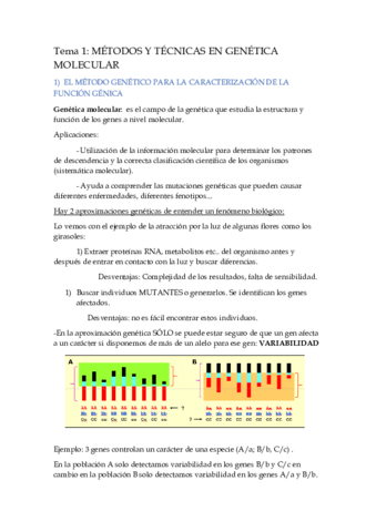 Tema1ApuntesGenetica.pdf