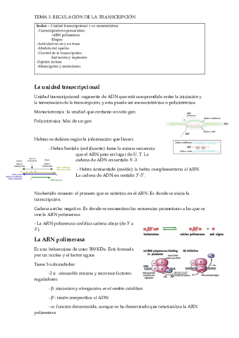 Tema3ParteI.pdf