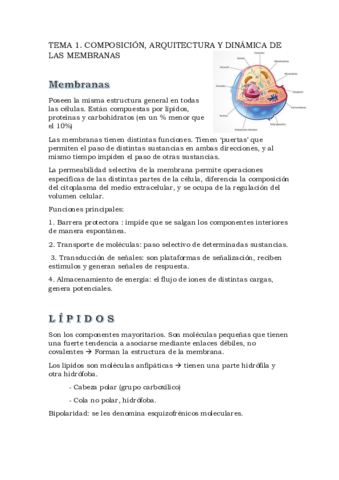 Tema1.pdf