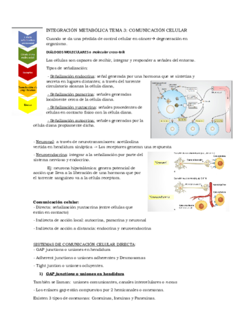 Tema3.pdf