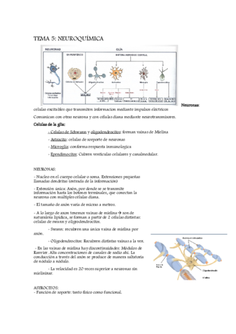 Tema5.pdf