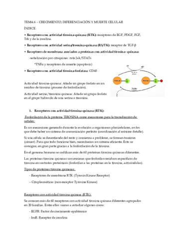 tema6.pdf