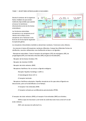 Tema7.pdf