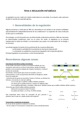 Tema4-REGULACION-METABOLICA.pdf