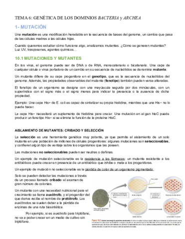 Tema6-Genetica-de-Bacteria-y-Archaea.pdf