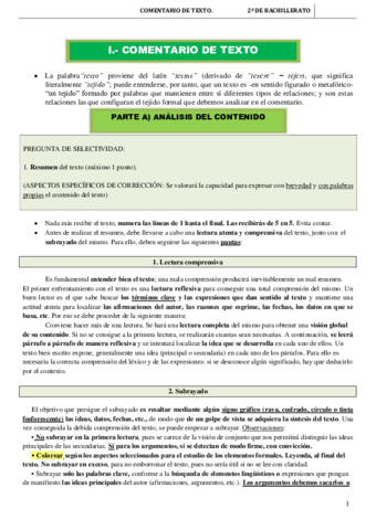 Pautas desarrollo comentario.pdf