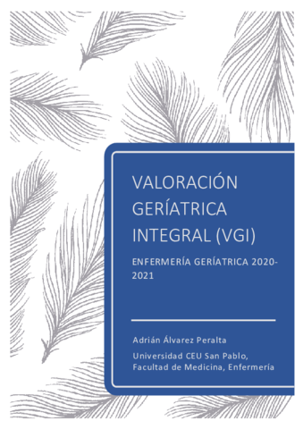 VGI-Adrian-Alvarez-Peralta.pdf