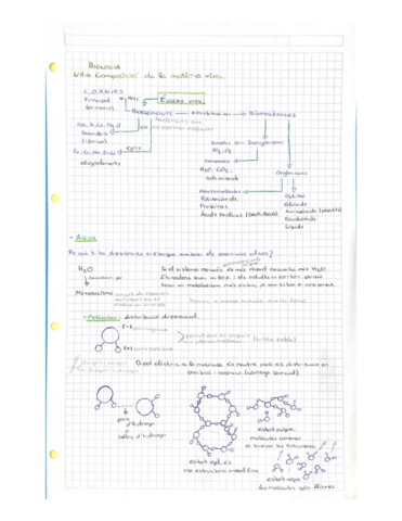 Composicio-de-la-materia-viva.pdf