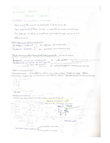 Glucids.pdf