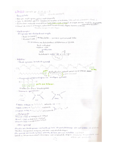 Lipids.pdf