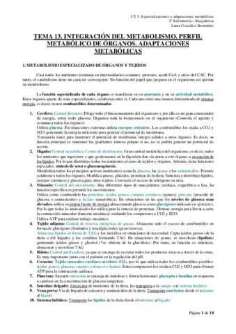 TEMA-13.pdf