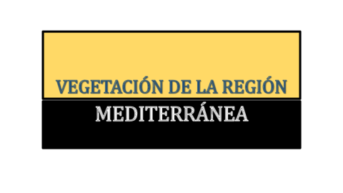 EBAU-Vegetación-Región Mediterránea.pdf