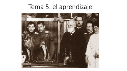 El aprendizaje.pdf