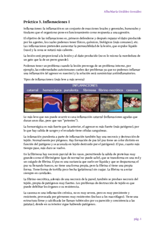 Practica-3-Inflamaciones-I-Alba-Giraldez.pdf