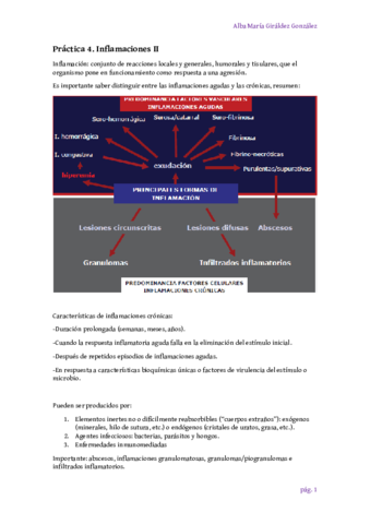 Practica-4-Inflamaciones-II-Alba-Giraldez.pdf