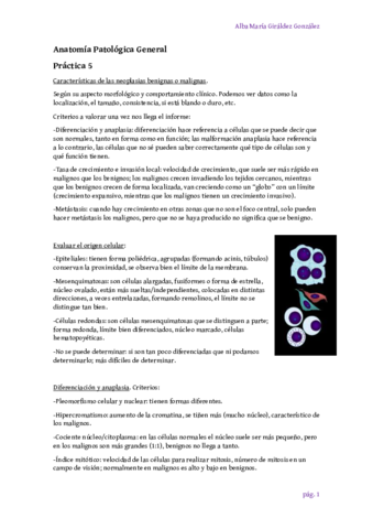 Practica-5-neoplasias-Alba-Giraldez.pdf
