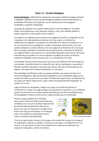 Tema-14-Control-biologico.pdf
