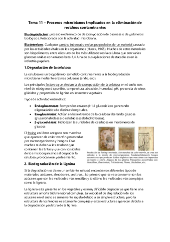 Tema-11-Procesos-microbianos-implicados-en-la-eliminacion-de-residuos-y-contaminantes.pdf