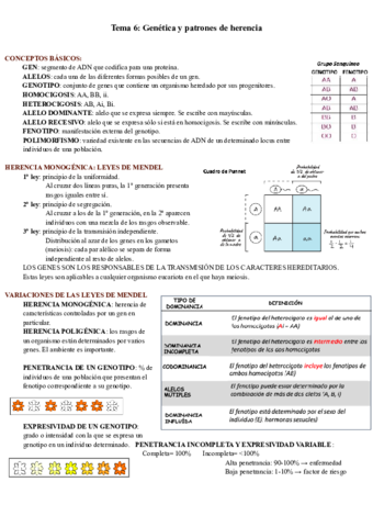 Tema-6-Genetica-y-patrones-de-herencia.pdf