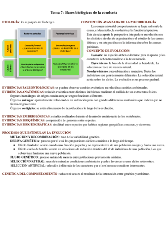 Tema-7-Bases-biologicas-de-la-conducta-.pdf