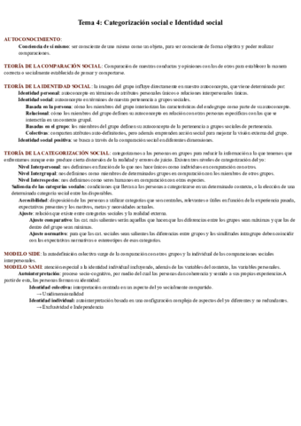 Tema-4-Categorizacion-social-e-Identidad-social-.pdf