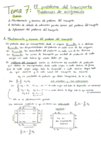 TEMA-7-OPTIMIZACION.pdf