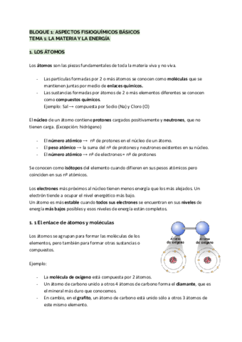 Apuntes-bloque-1.pdf
