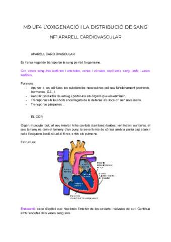 M9 UF4 Oxigenació i distribució sang