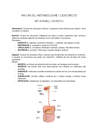 M9 UF5 Metabolisme i excreció