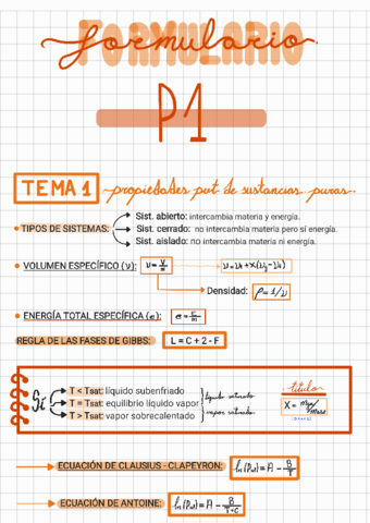 Formulario-p1-termo.pdf